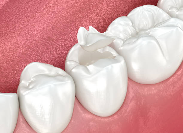 Best Dental Exams and Cleanings  in South Hempstead, NY